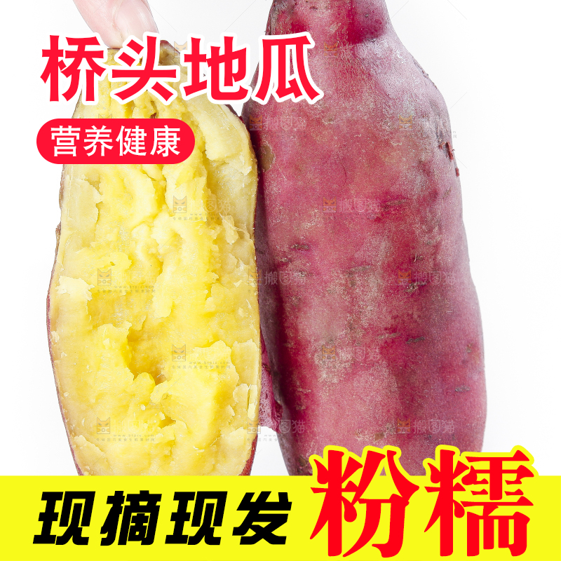 手里拿着黄心红薯