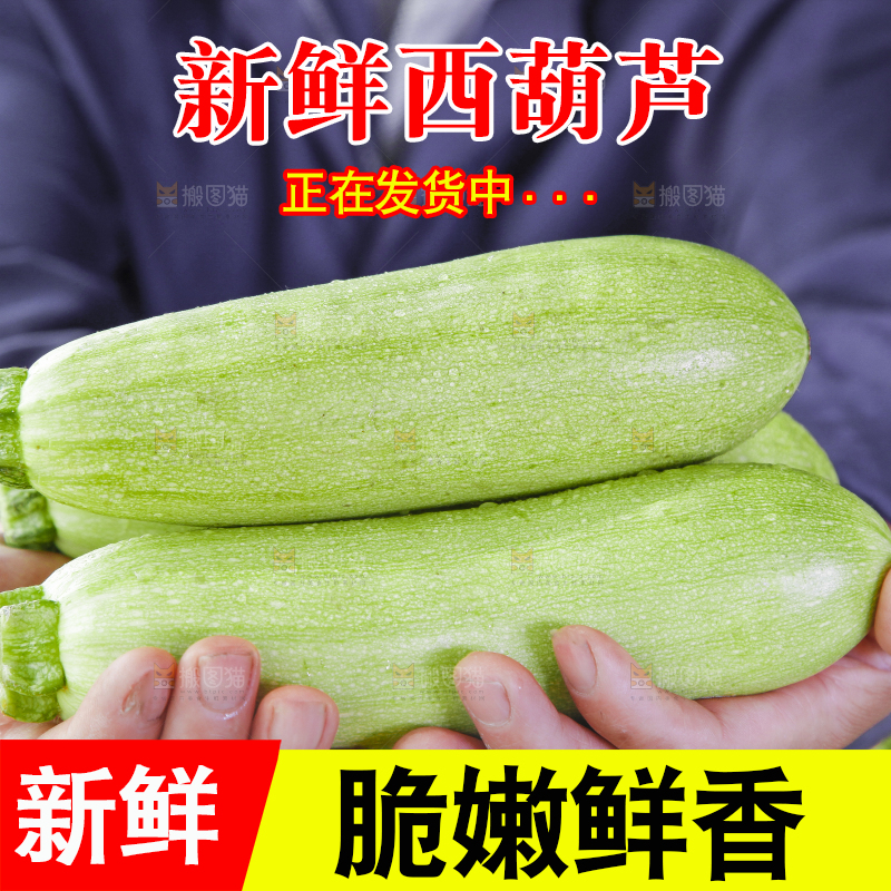 手里拿着西葫芦瓜