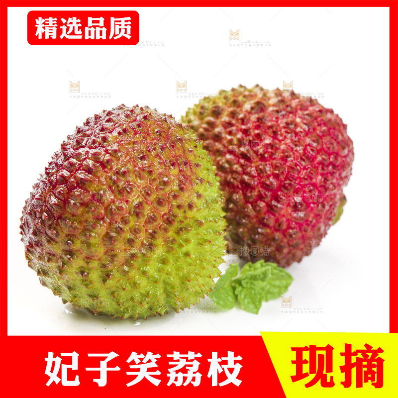 白底上摆放着妃子笑荔枝