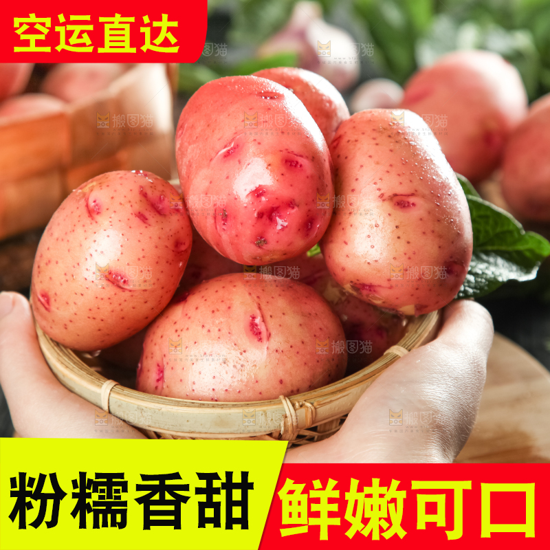 手里捧着一篮云南红皮土豆