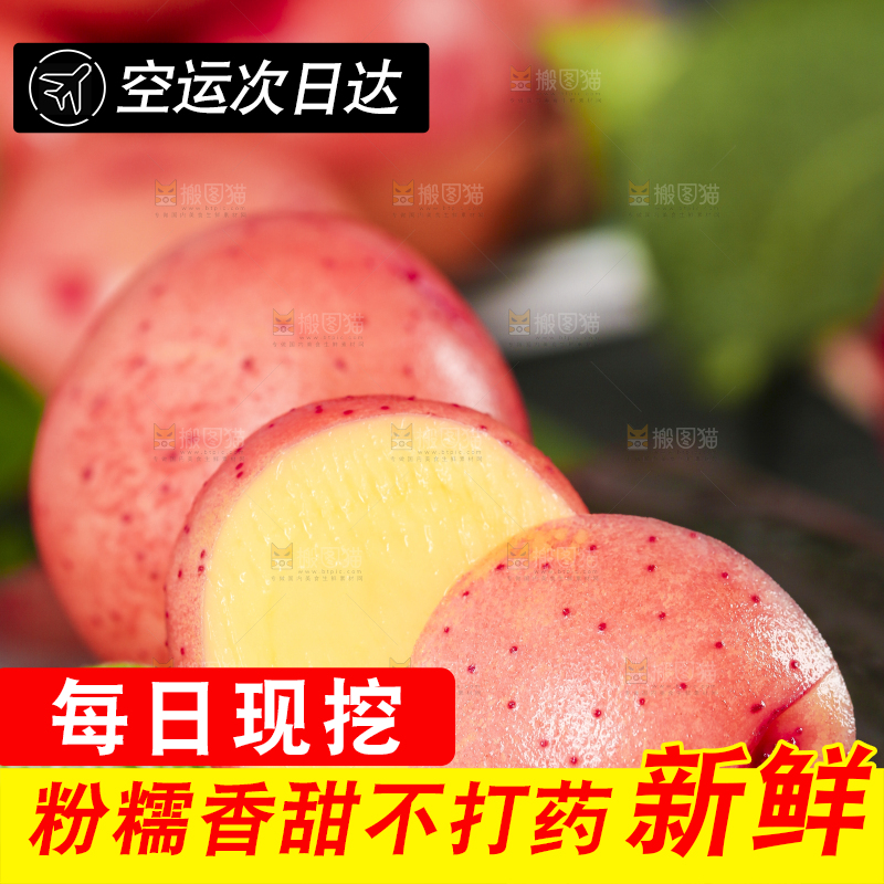 木底上摆放着云南红皮土豆