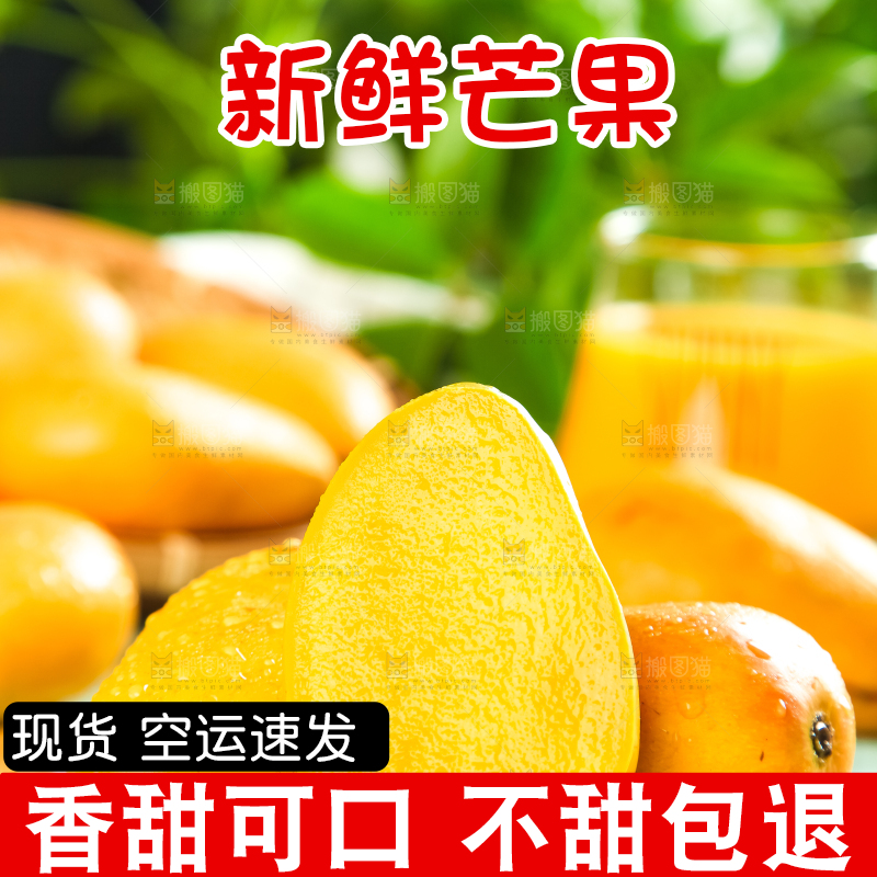 木底上摆放着台农芒