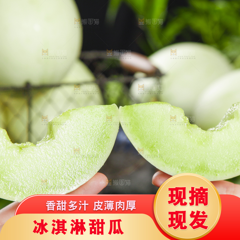 手里拿着南汇玉菇甜瓜
