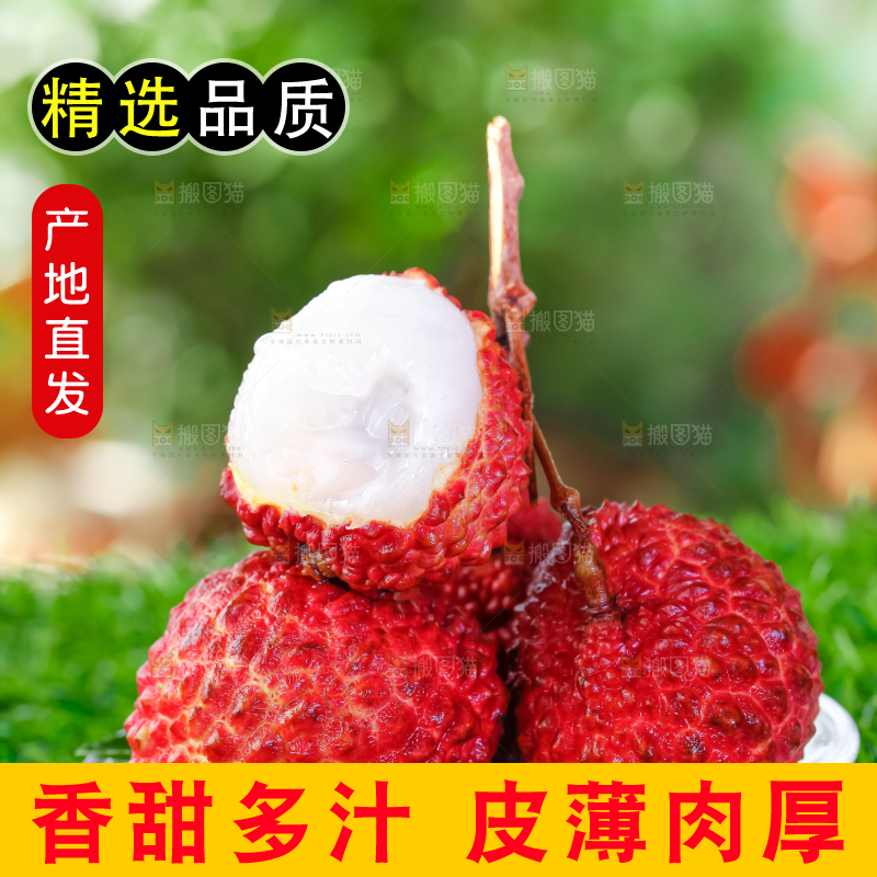 草地上摆放着火山荔枝王