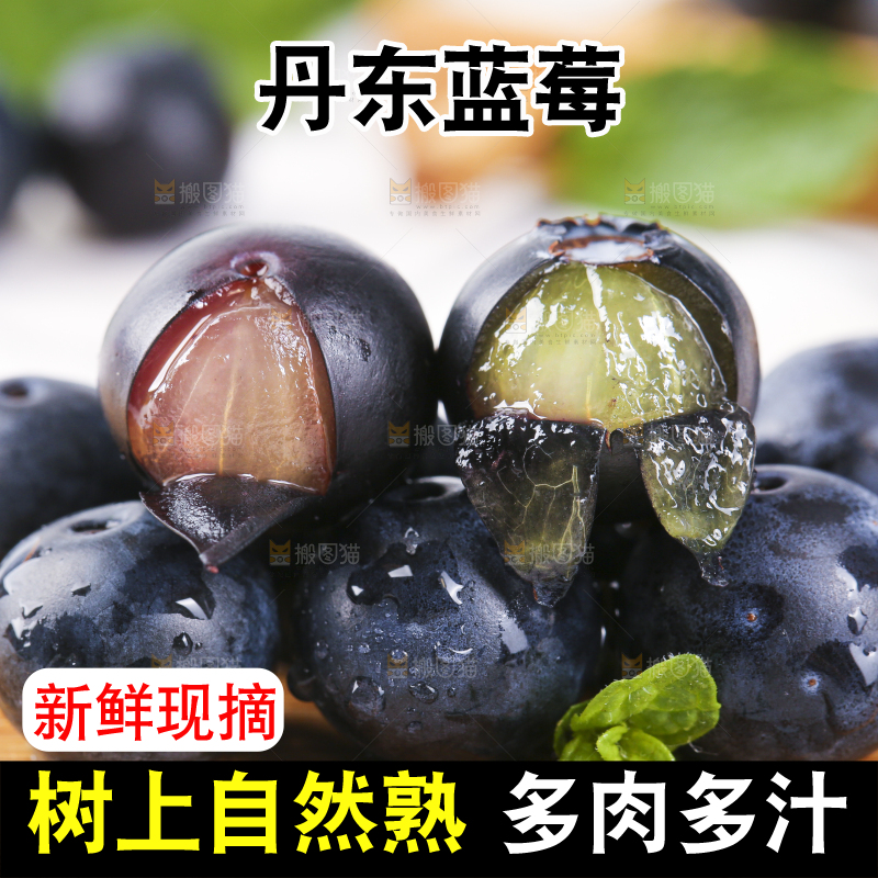 木板上摆放着新鲜蓝莓