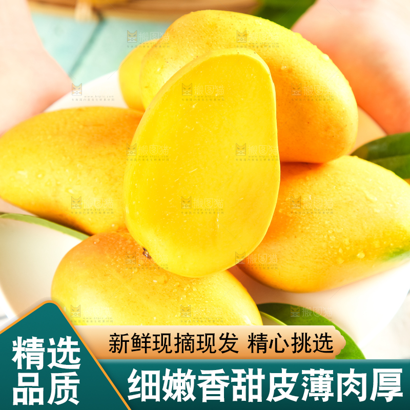 手里端着海南小台农芒果