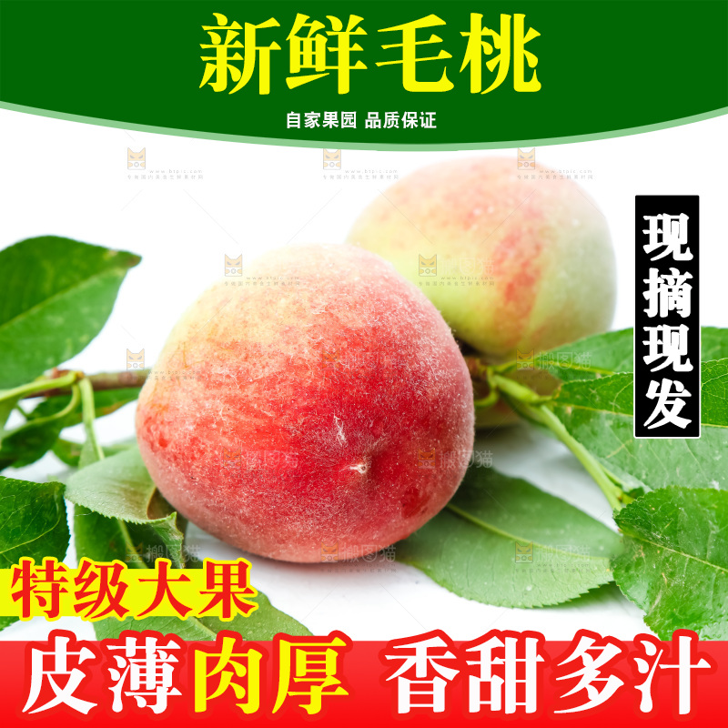 白底上摆放着甜桃子
