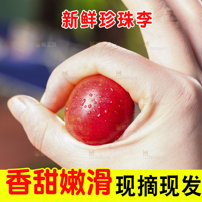 手里拿着脆李子