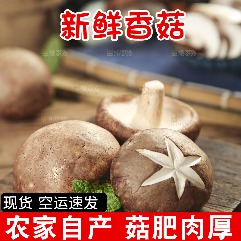 木底上摆放着新鲜香菇