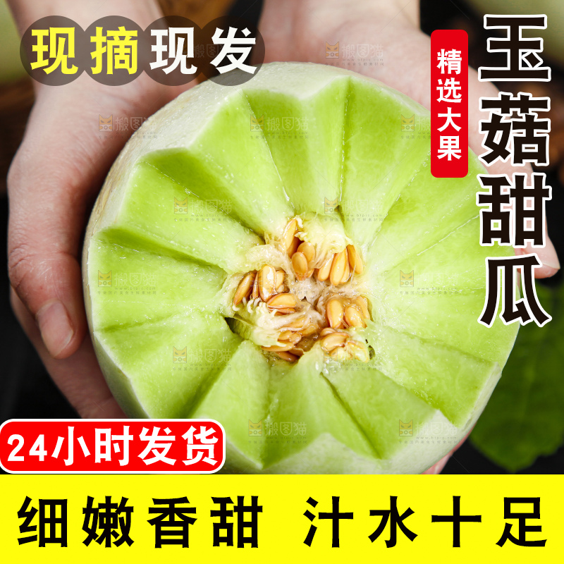 玉菇甜瓜主图