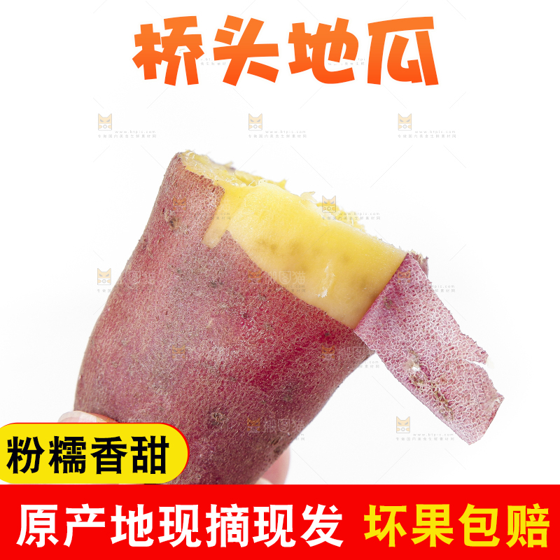 手里拿着黄心红薯