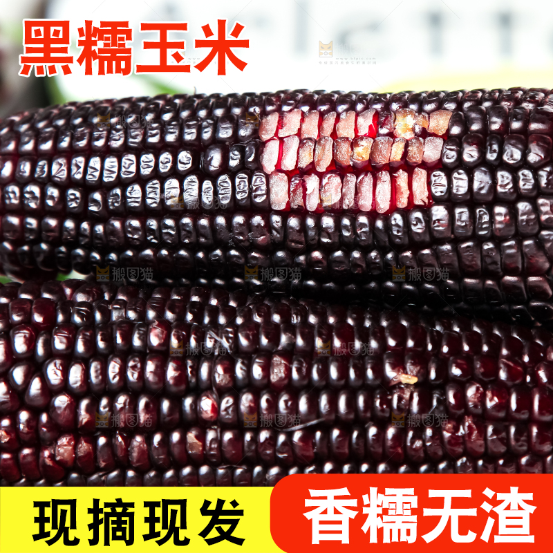 木板上放着黑玉米