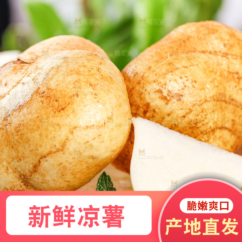 木底上摆放着沙葛