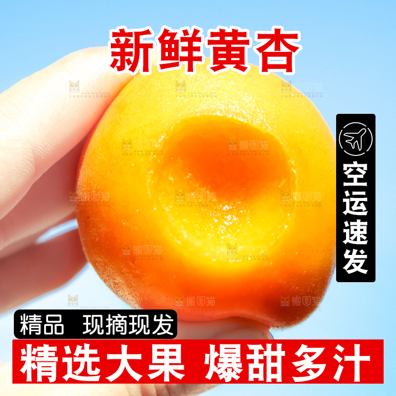 手里拿着黄杏