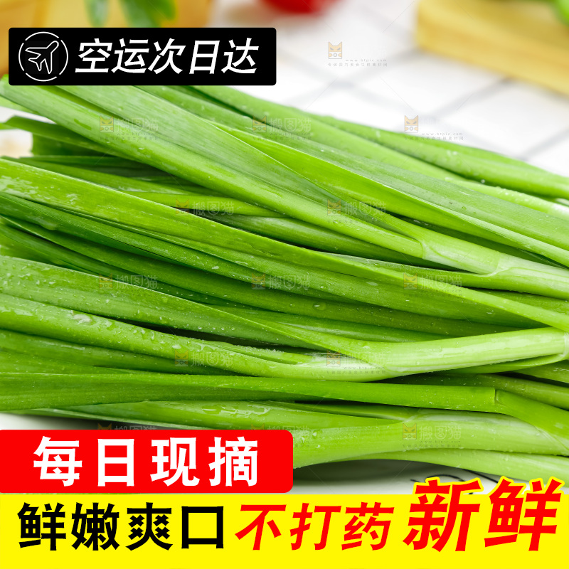 格子底上摆放着农家韭菜