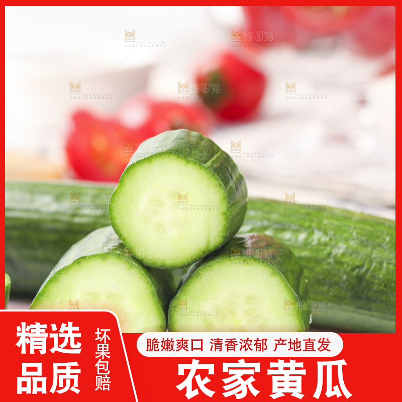 白底上放着切段的小黄瓜