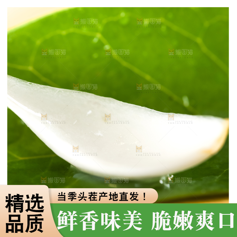 枝叶上摆放着百合