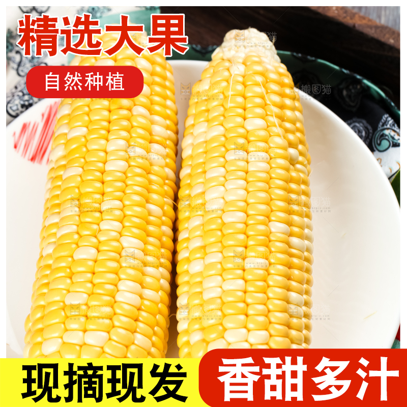 盘子里放着新鲜玉米