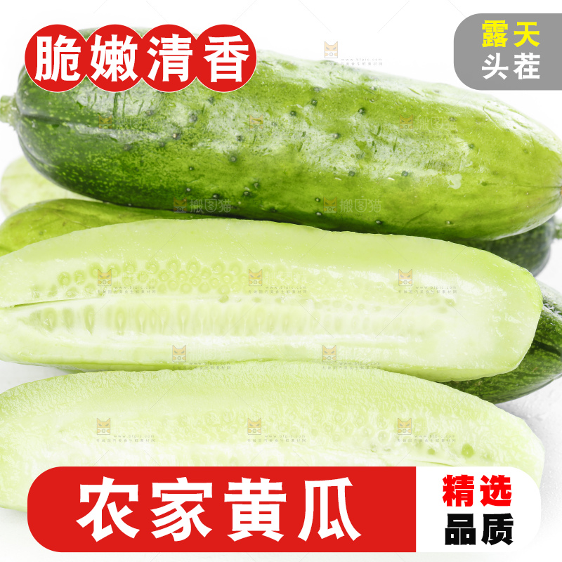 白底上放着刺青瓜