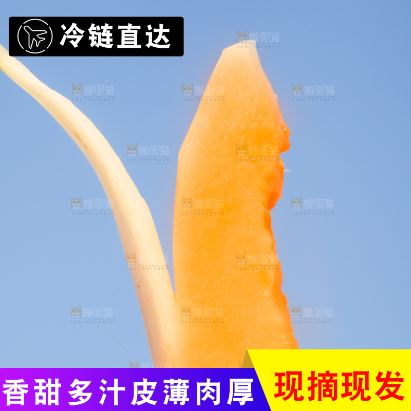 手里拿着东方蜜瓜