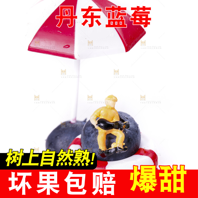 白底上摆放着蓝莓