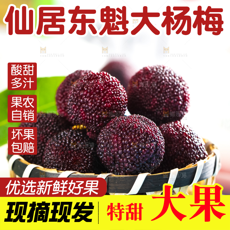 篮子里装着野生杨梅