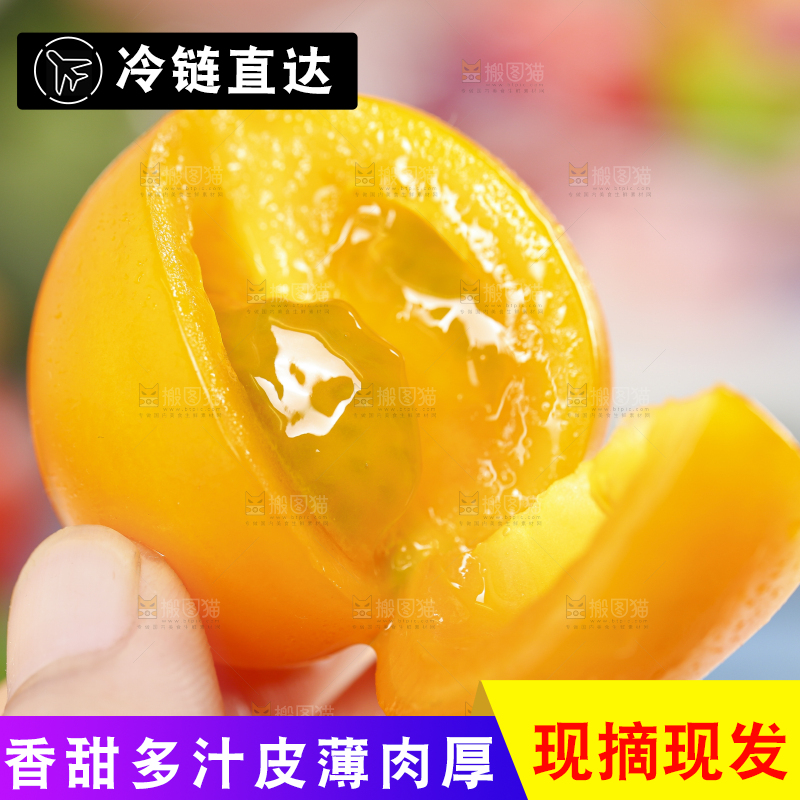 手里拿着黄金圣女果