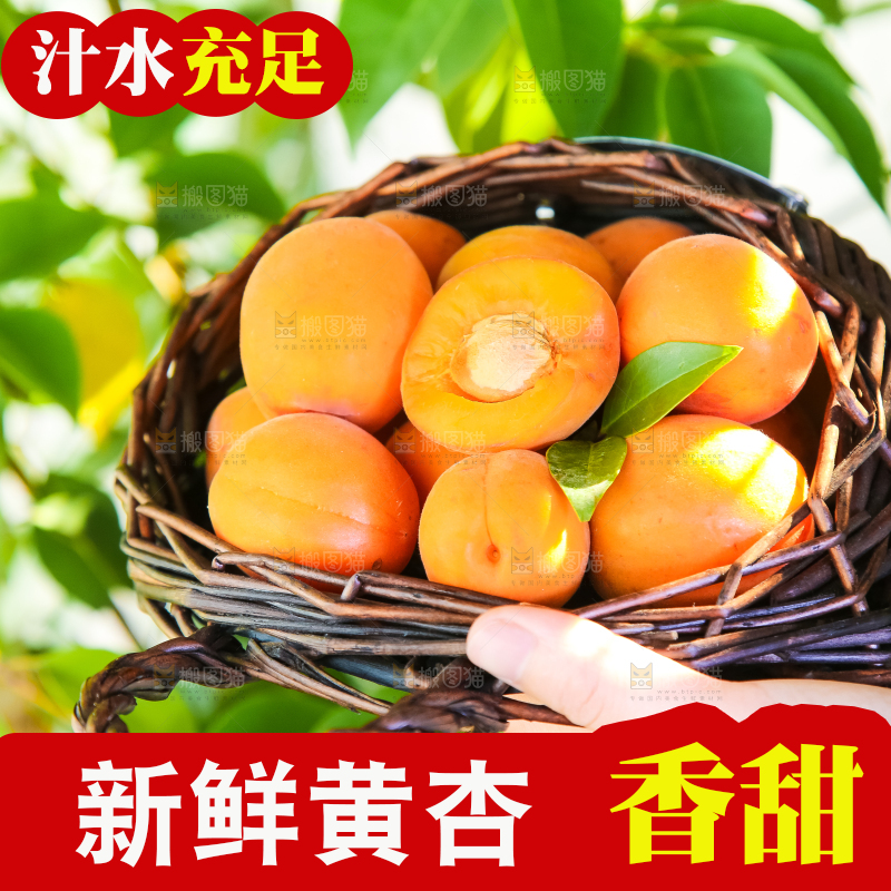 手里拿着一篮大黄杏