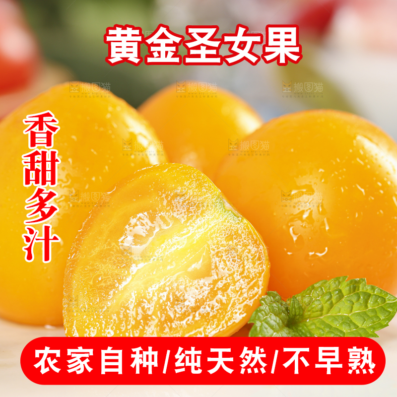 白底上摆放着山东黄金小番茄