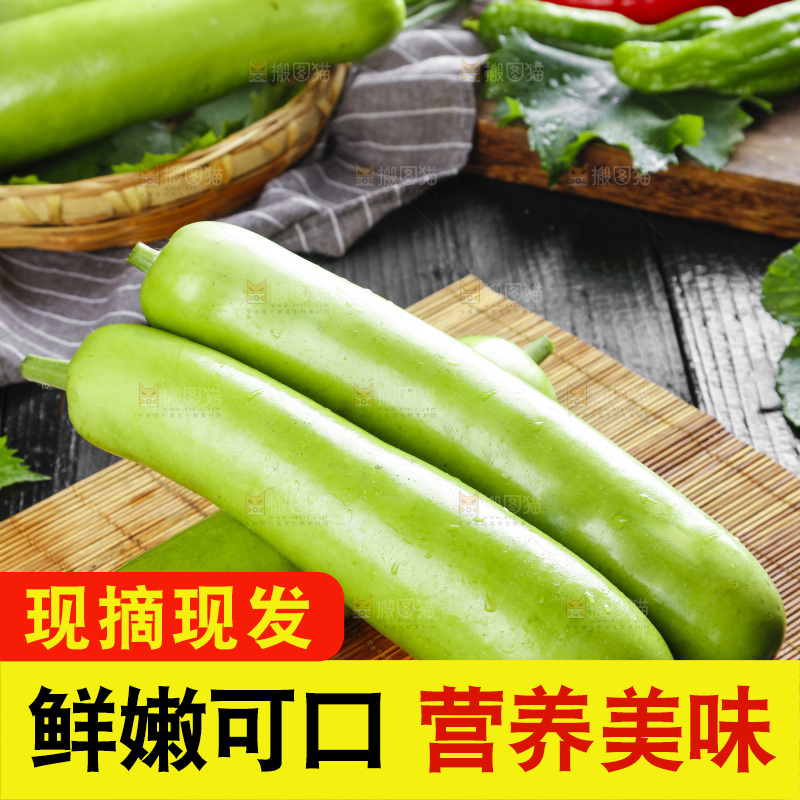 木底上放着瓠子