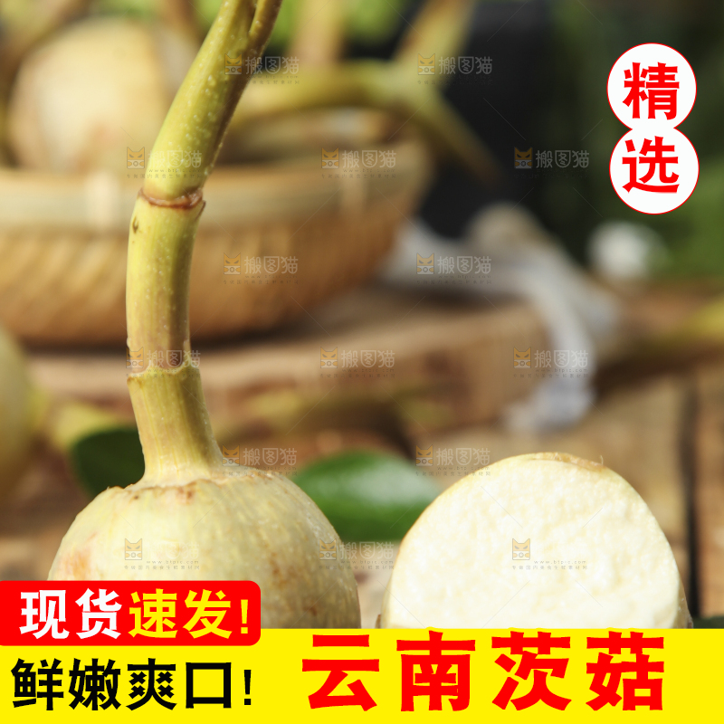 黑底上放着云南新鲜茨菇