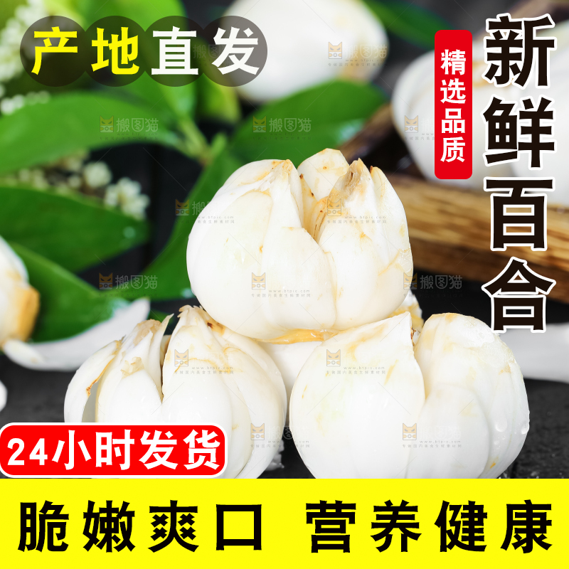 黑底上摆放着鲜百合