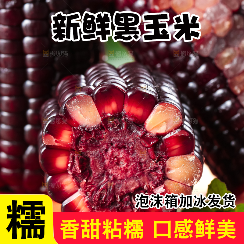 木底上摆放着黑玉米