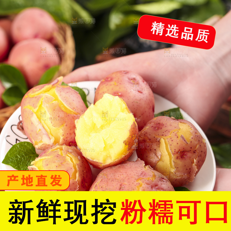 手里捧着一盘土豆
