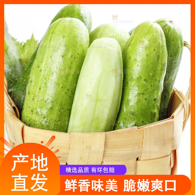 篮子里装着青瓜