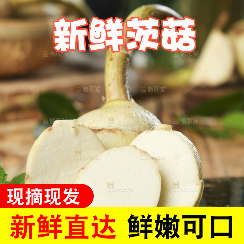 黑底上放着云南新鲜茨菇