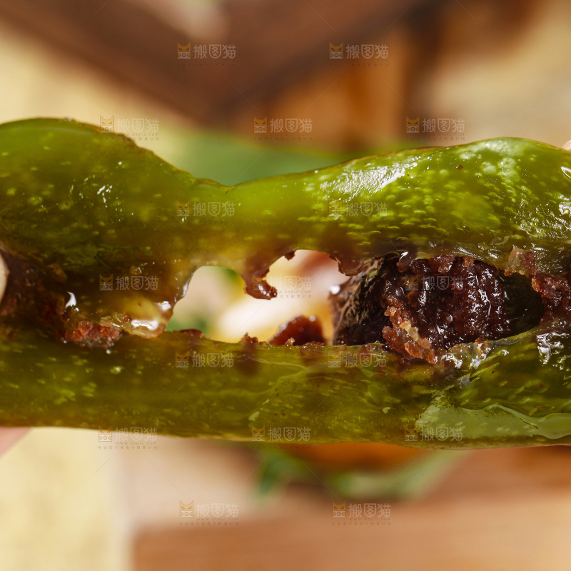 手里拿着艾草青团