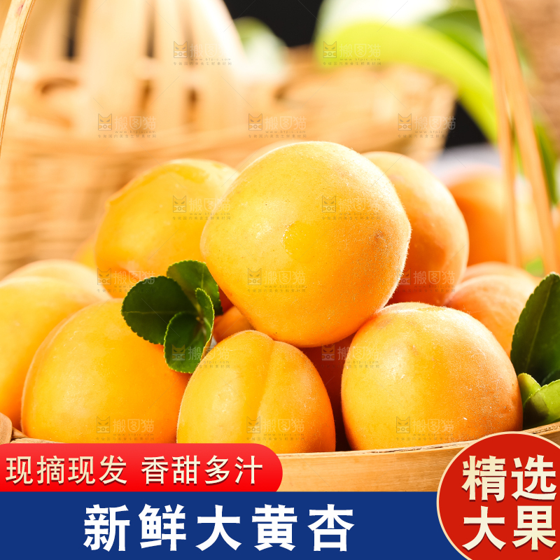 篮子里装着杏子
