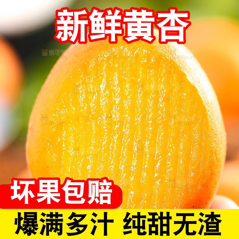 手里拿着杏子