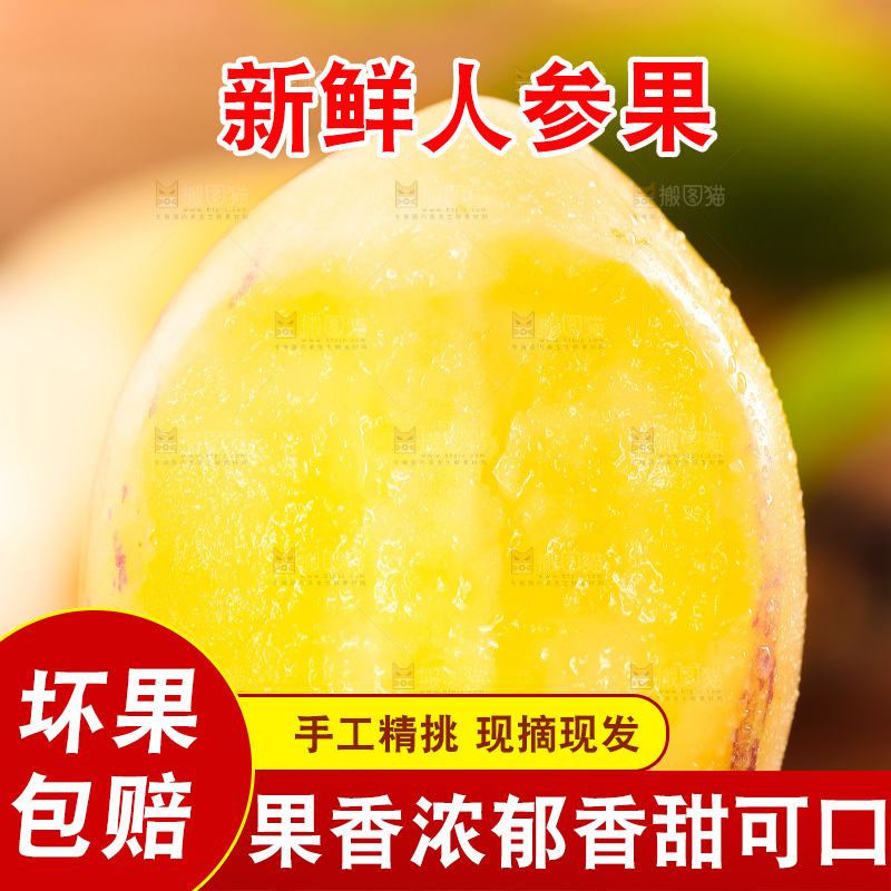 手里拿着黄心人参果