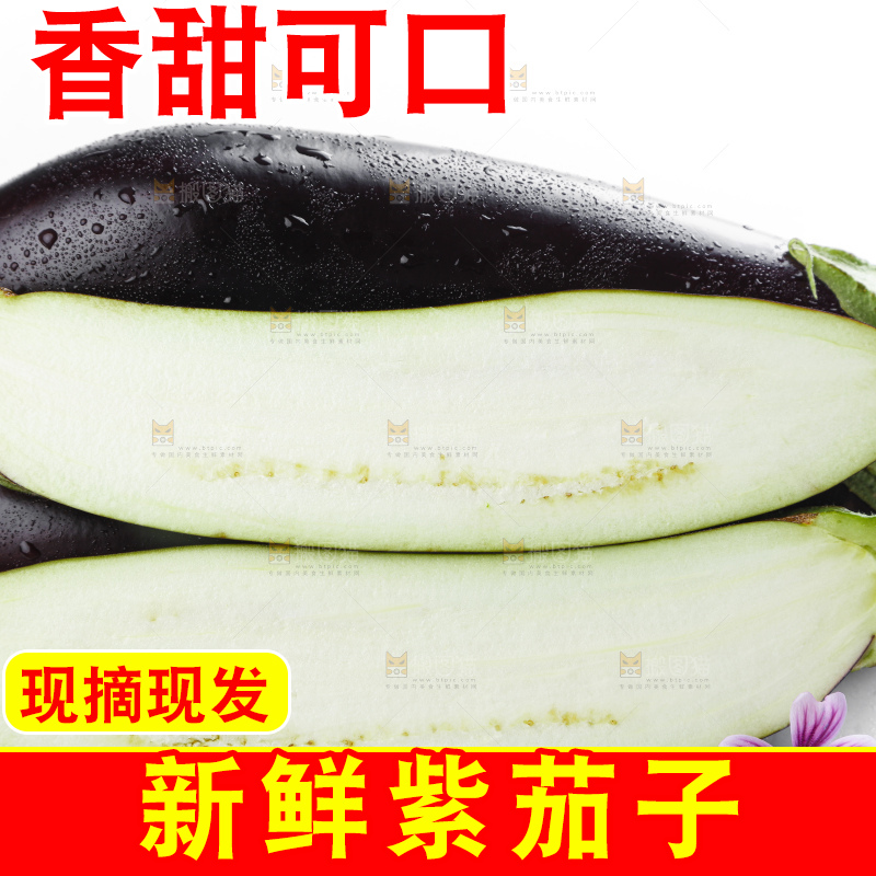 白底上摆放着紫茄子