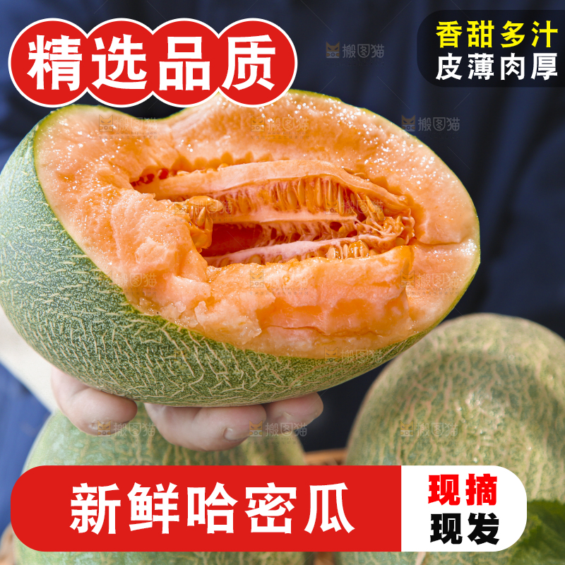 哈密瓜主图