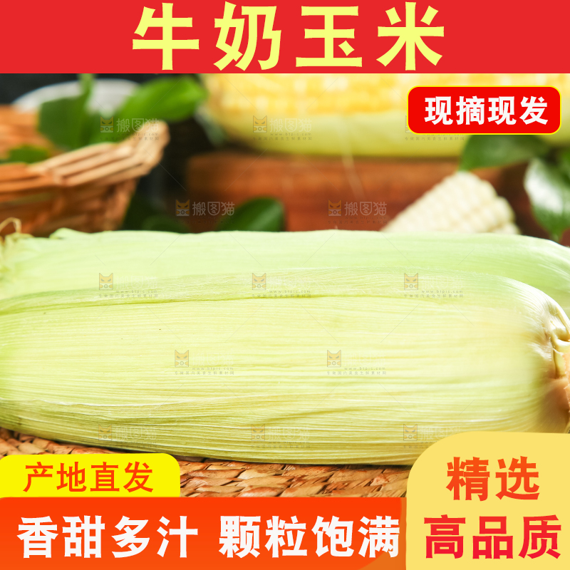 编织垫上放着玉米