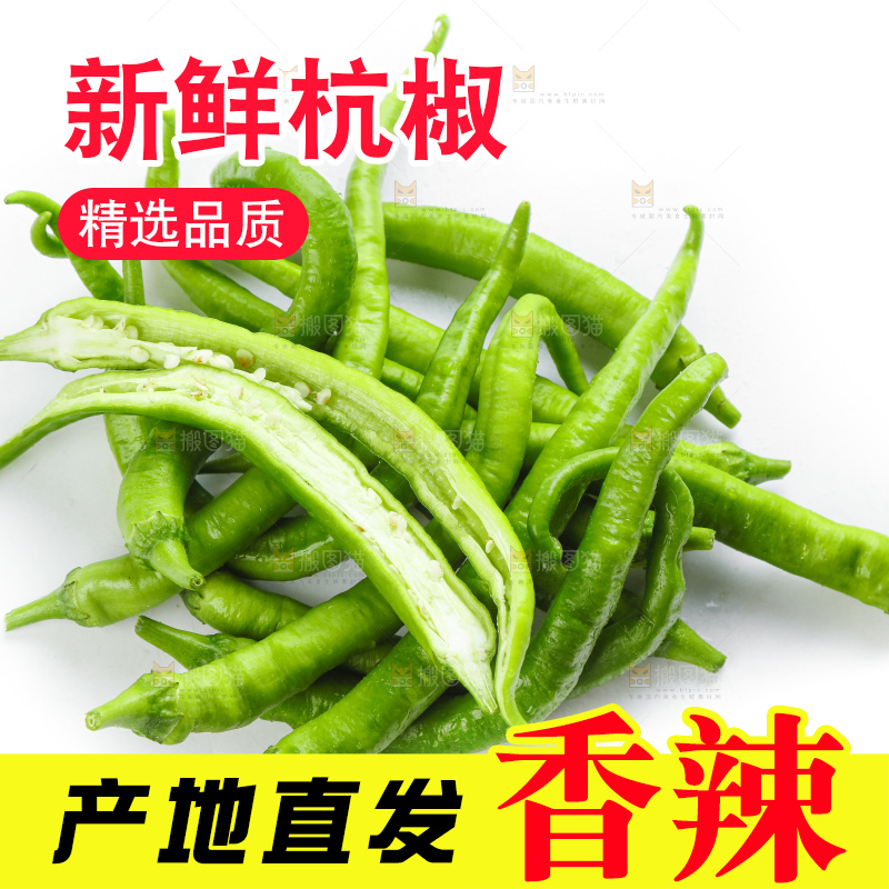 白底上摆放着青尖椒