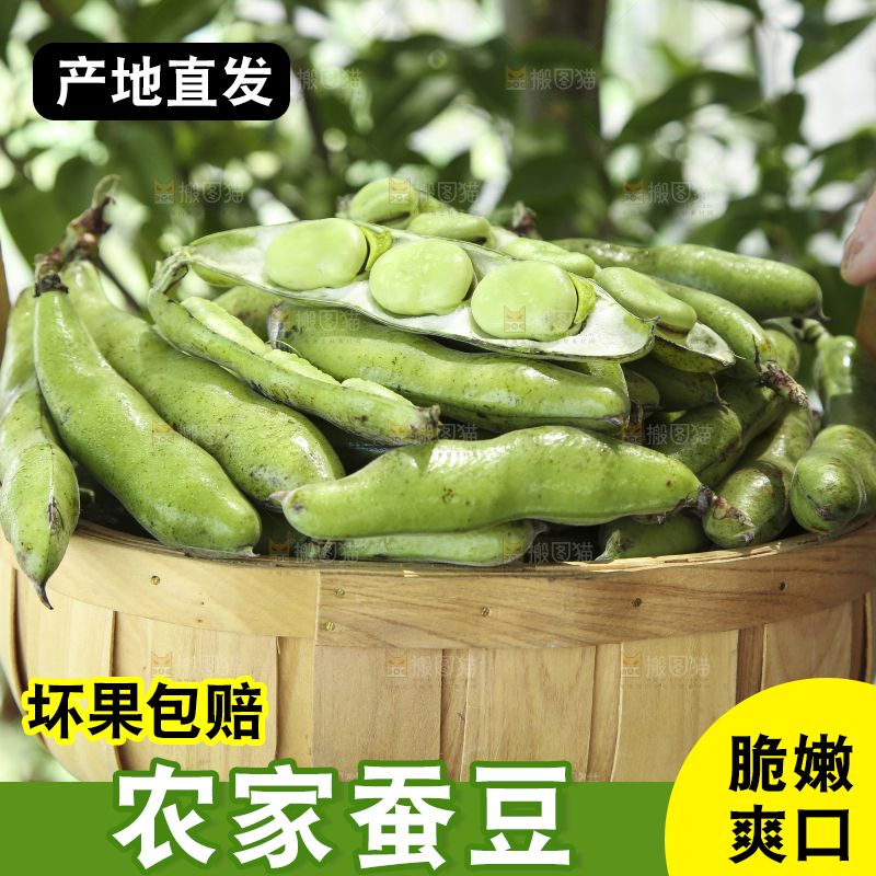 手里提着一篮子农家蚕豆