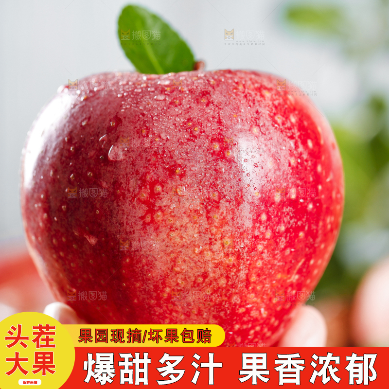 手里拿着秦冠苹果