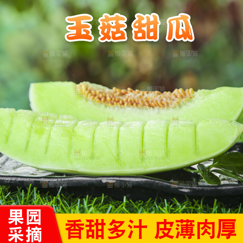 绿草地上放着一玉菇甜瓜
