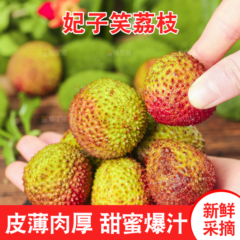 手捧着妃子笑荔枝