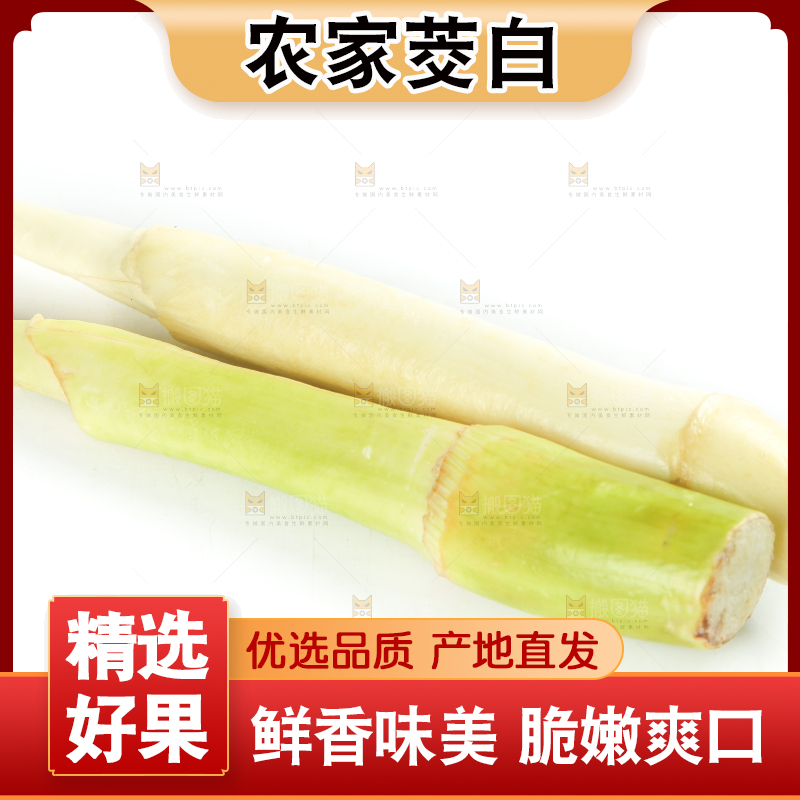 白底上摆放着茭笋