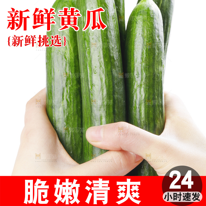 手里拿着嫩黄瓜
